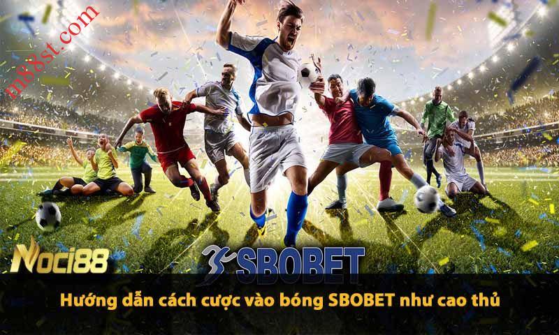 Hướng dẫn cách cược vao bong SBOBET như cao thủ